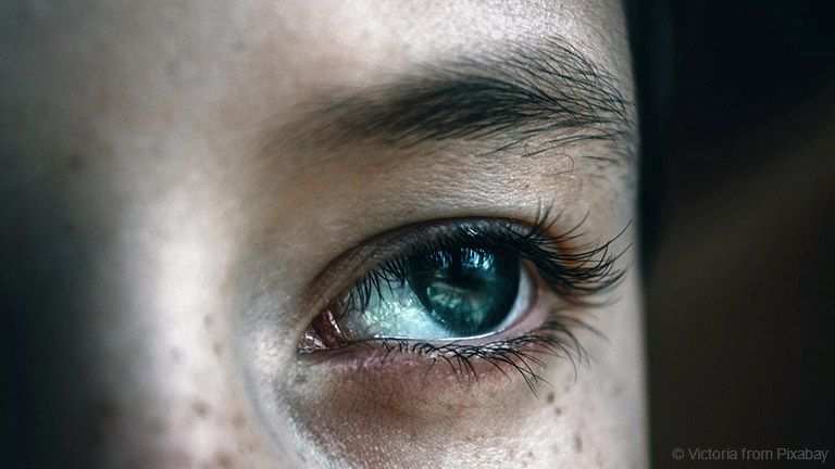 6 Mythen und Fakten zum Thema Augengesundheit