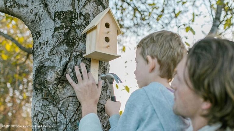 Vogelhäuser selber bauen: Bastelideen für die ganze Familie