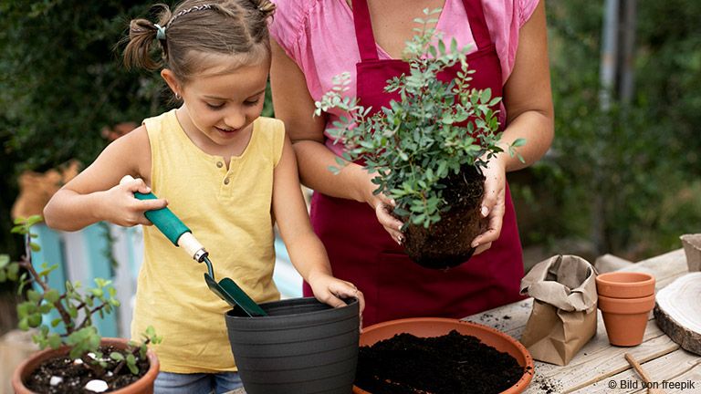 Pflegeleicht und lehrreich – Mit Kindern einen Garten gestalten