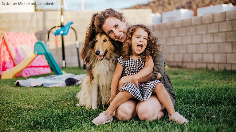 Schon die alten Lassie-Filme zeigten uns klar, dass Collies ideale Familien Hunde sind