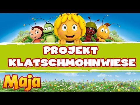 🐝🐞Das Projekt Klatschmohnwiese - Die Biene Maja - Bienen Retter 🐝🐞