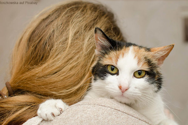 Toxoplasmose – Die Gefahr aus dem Katzenklo