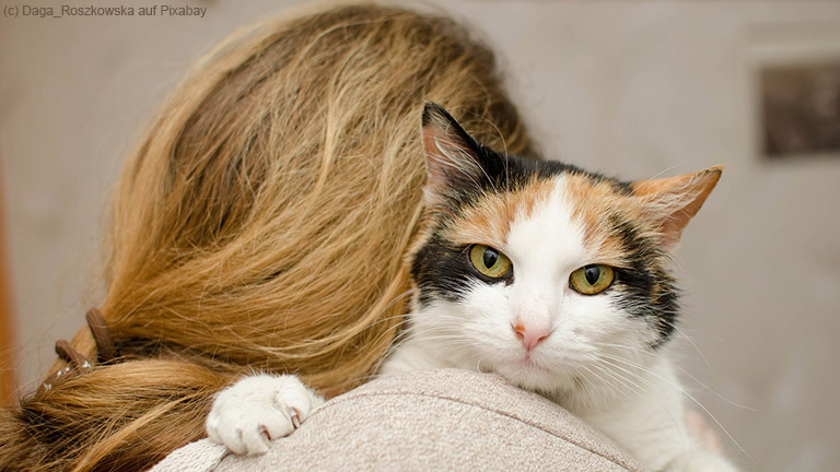 Toxoplasmose – Die Gefahr aus dem Katzenklo