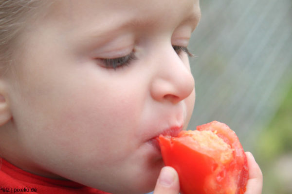 So entwickelt sich der Geschmackssinn unserer Kinder