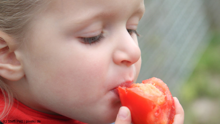 So entwickelt sich der Geschmackssinn unserer Kinder