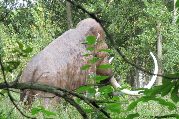 Mit den Kindern in den Ferien T-Rex & Co. besuchen