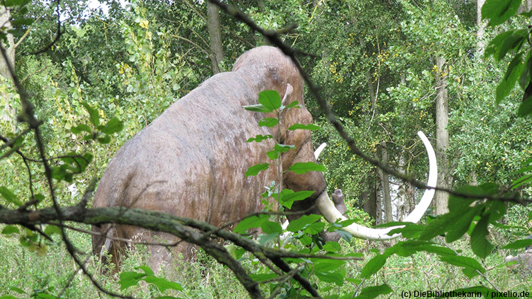 nosaurierland Rügen“ ist der größte Natur- und Freizeitpark Rügens.