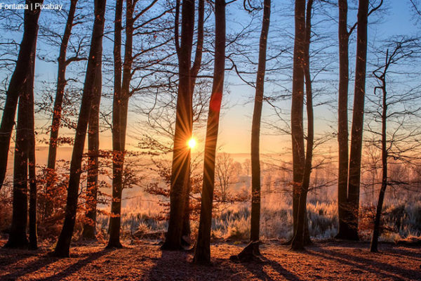 Ausreichend Vitamin D über den Winter einnehmen