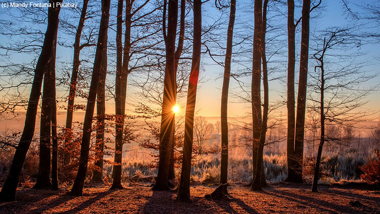 Ausreichend Vitamin D über den Winter einnehmen