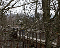 Baumwipfelpfad Naturerbe Zentrum Rügen