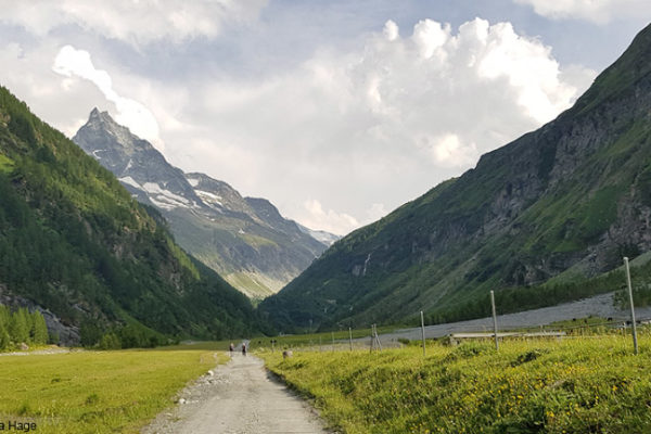 Alpine Bergwelt – Mit Kindern entdecken