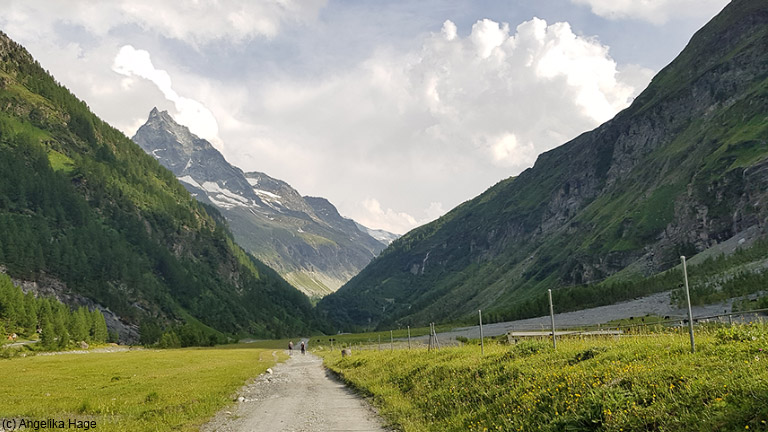 Alpine Bergwelt - Mit Kindern entdecken