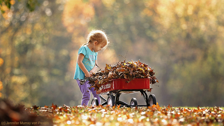 Wir haben Tipps für die ganze Familie zusammengestellt, mit denen der Herbst für Eltern und Kinder unvergesslich wird.