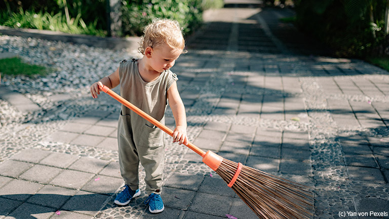 Welche Gartenarbeiten wann anfallen: Ein Überblick