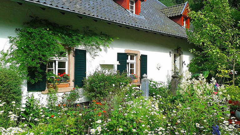 Legst Du bei den Pflanzen in Deinem Garten den Fokus auf mehrjährige Stauden, ersparst Du Dir das abermalige Bepflanzen in den kommenden Jahren. 