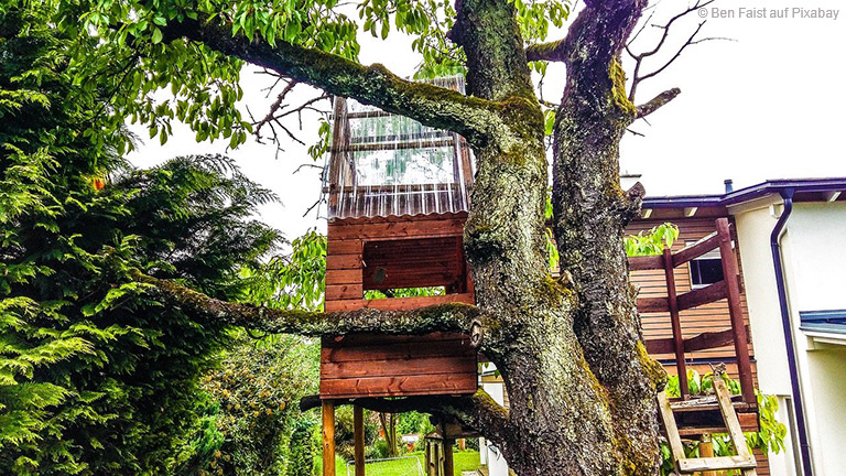 Der heimische Garten bietet Raum für wunderbare Abenteuer.