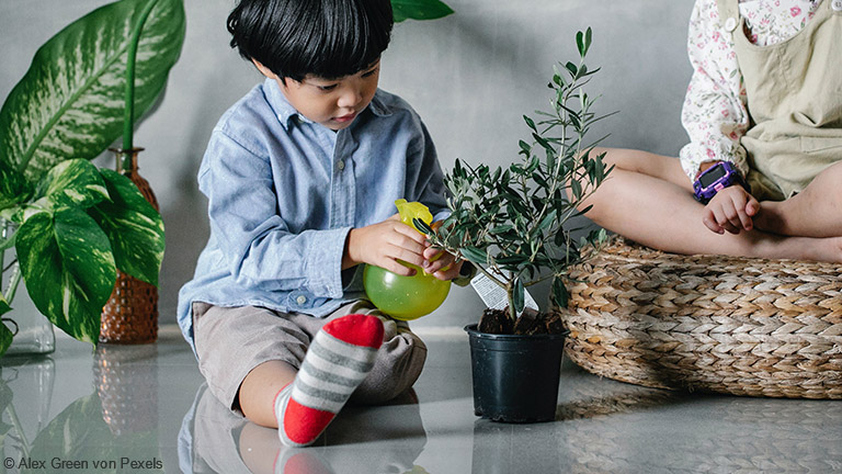 Kinder lernen im Umgang mit Pflanzen, Verantwortung zu tragen.