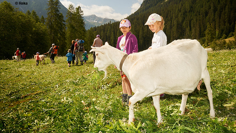 Ziegentrekking im Reka Feriendorf Bergrün