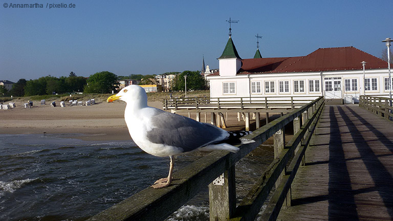 die Insel Usedom bietet sich mit ihren zahlreichen Badeorten für eine Auszeit mit Kindern perfekt an