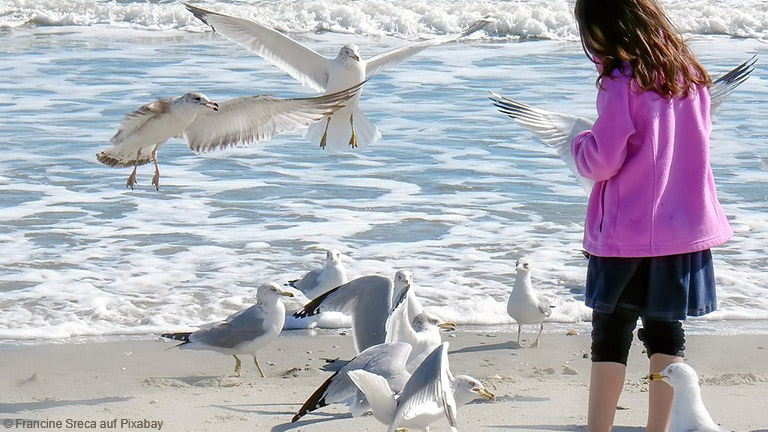 Im Vergleich zu rauen Nordsee präsentiert sich die Ostsee etwas sanfter und lieblicher