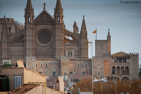 Familienurlaub auf Mallorca: Abenteuerliche Entspannung für Groß und Klein