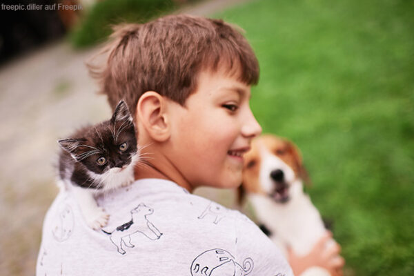 Gesunde Hunde- und Katzenernährung – Tipps für die ganze Familie