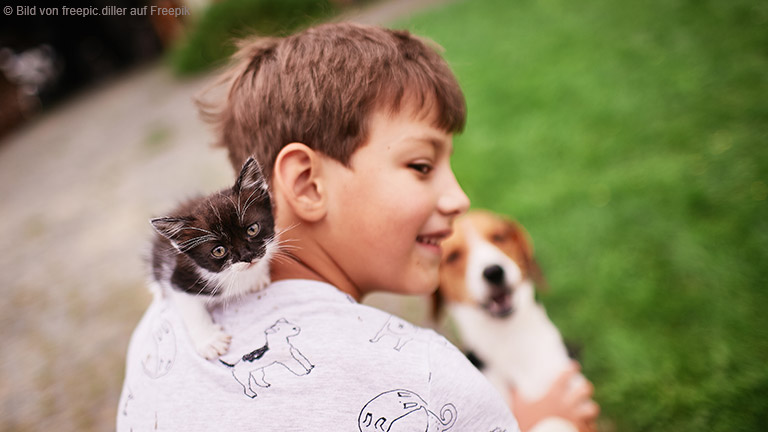 Gesunde Hunde- und Katzenernährung – Tipps für die ganze Familie