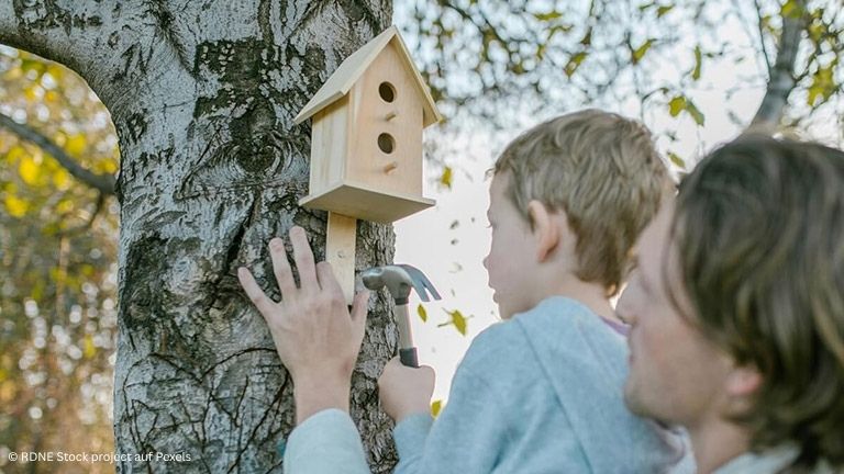 Vogelhäuser selber bauen: Bastelideen für die ganze Familie