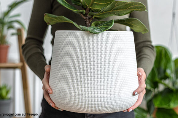 Pflanzkübel auf dem Balkon